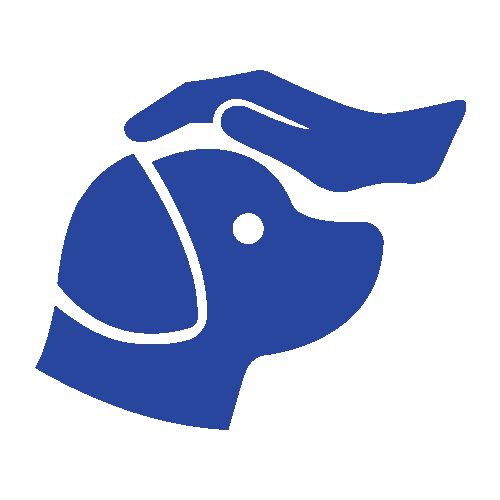 Dog Training Icon