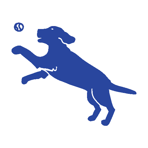 Doggy Daycare icon