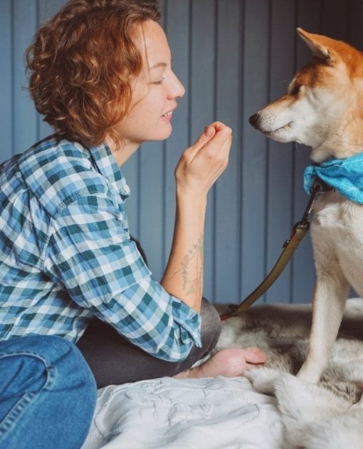 A lady holding a treat while teaching a dog at a Marietta dog training class at the Pup Hub.